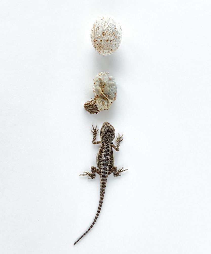 Photograph by Ружана Вячорка