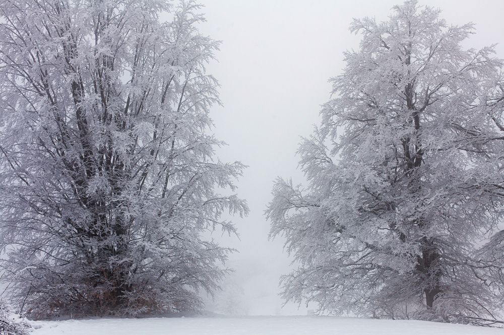 Фотография автора Екатерина Щербакова
