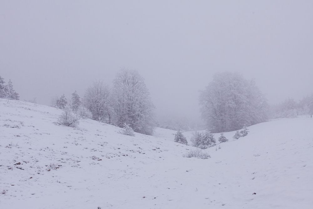 Photograph by Екатерина Щербакова