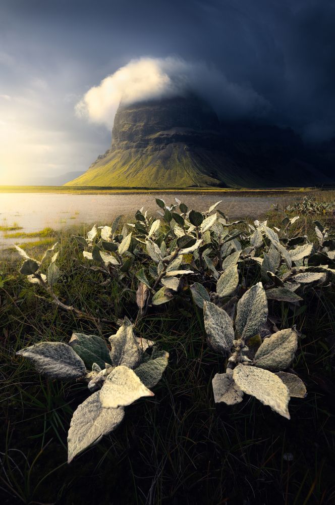 Photograph by Filip Hrebenda