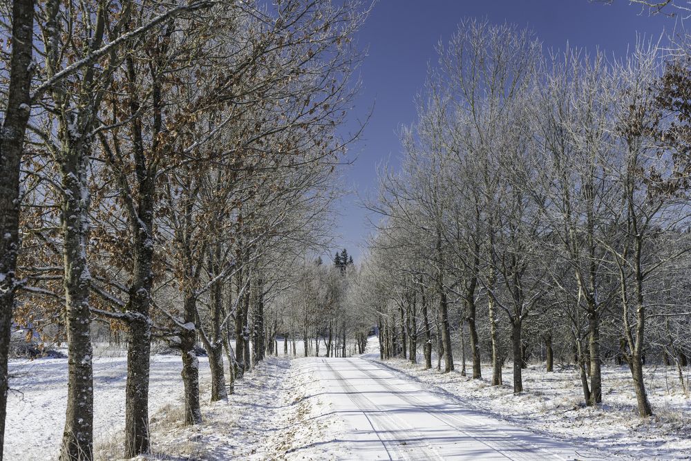 Photograph by Kristina Nutautiene