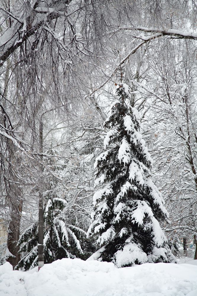 Photograph by Яна Соболева