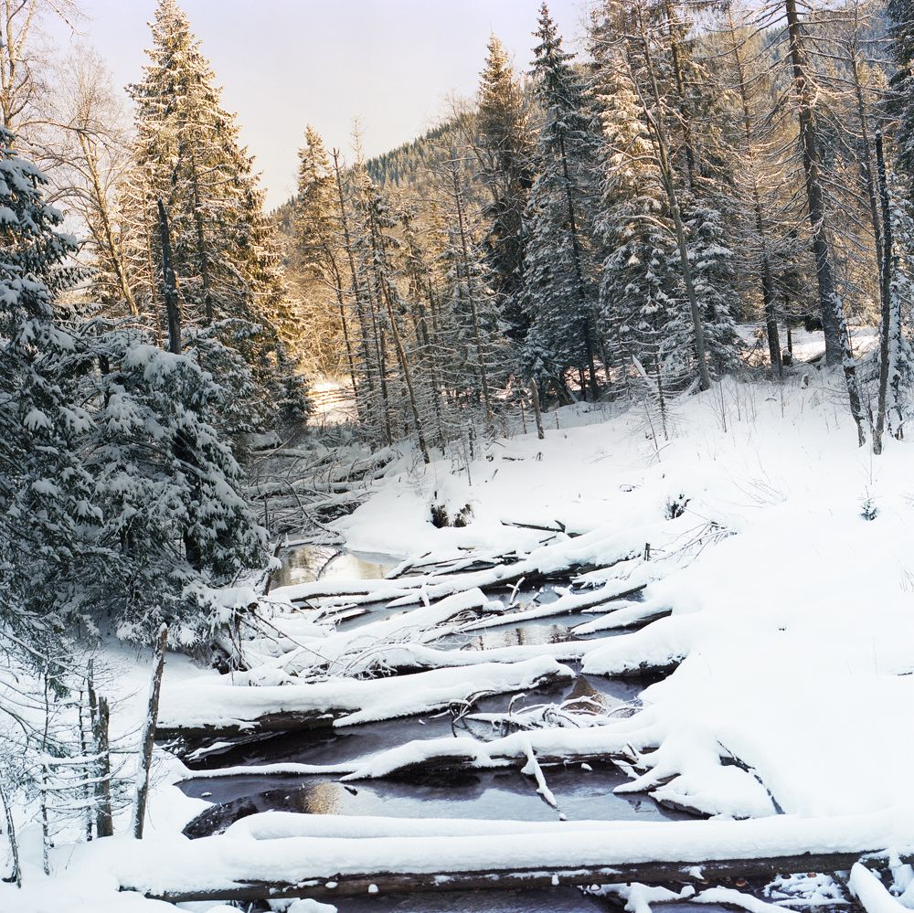 Photo #7193114