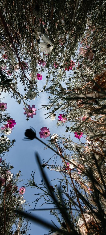 Точка зрения