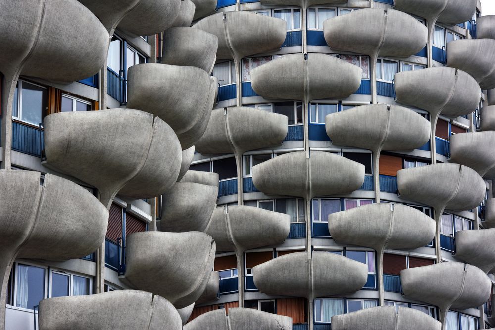 Photograph by SI SABER LOTFI