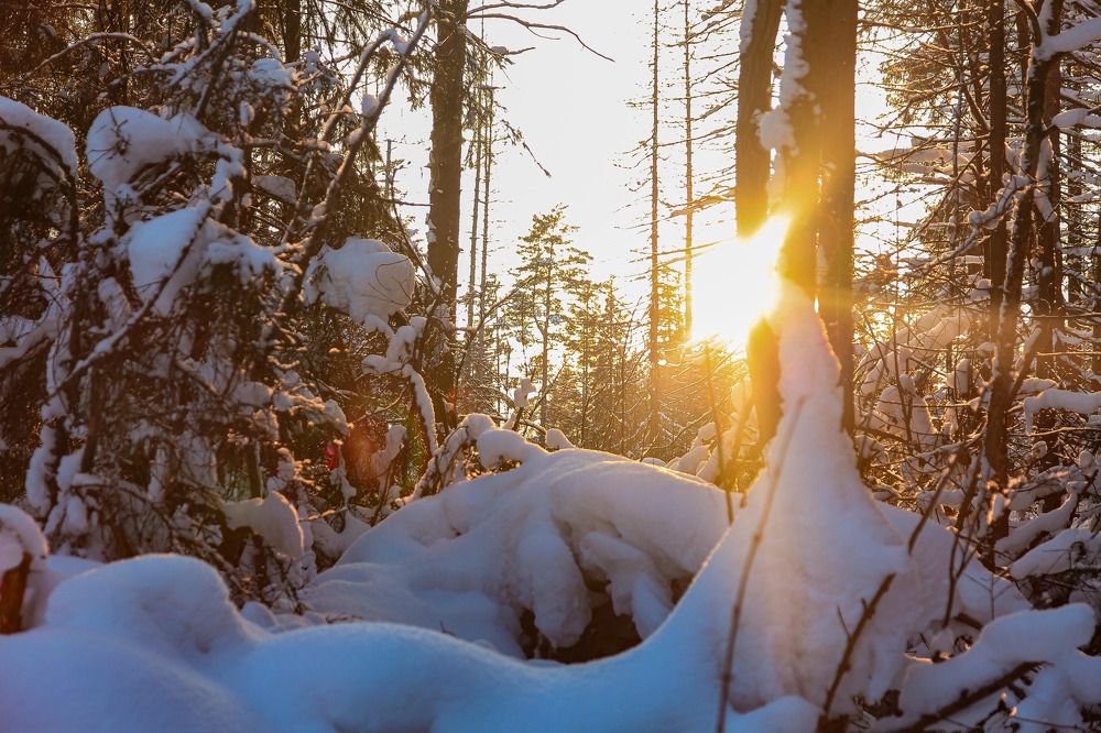 Photograph by Галина Сычева