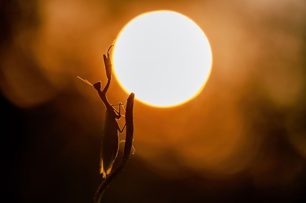 Photograph by Sara Jazbar