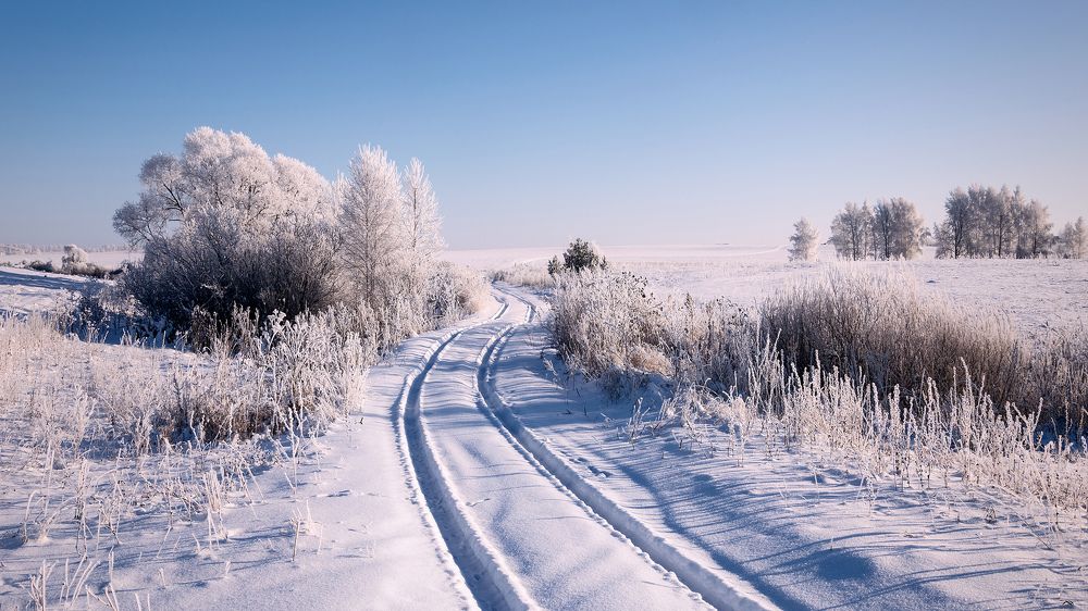 По проселочной дороге шла я молча...