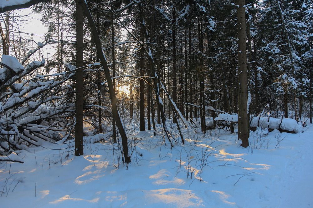 Photograph by Галина Сычева