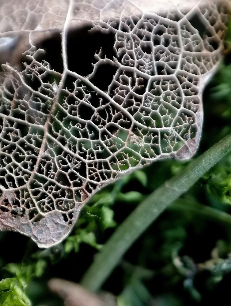 Photograph by Krystyna