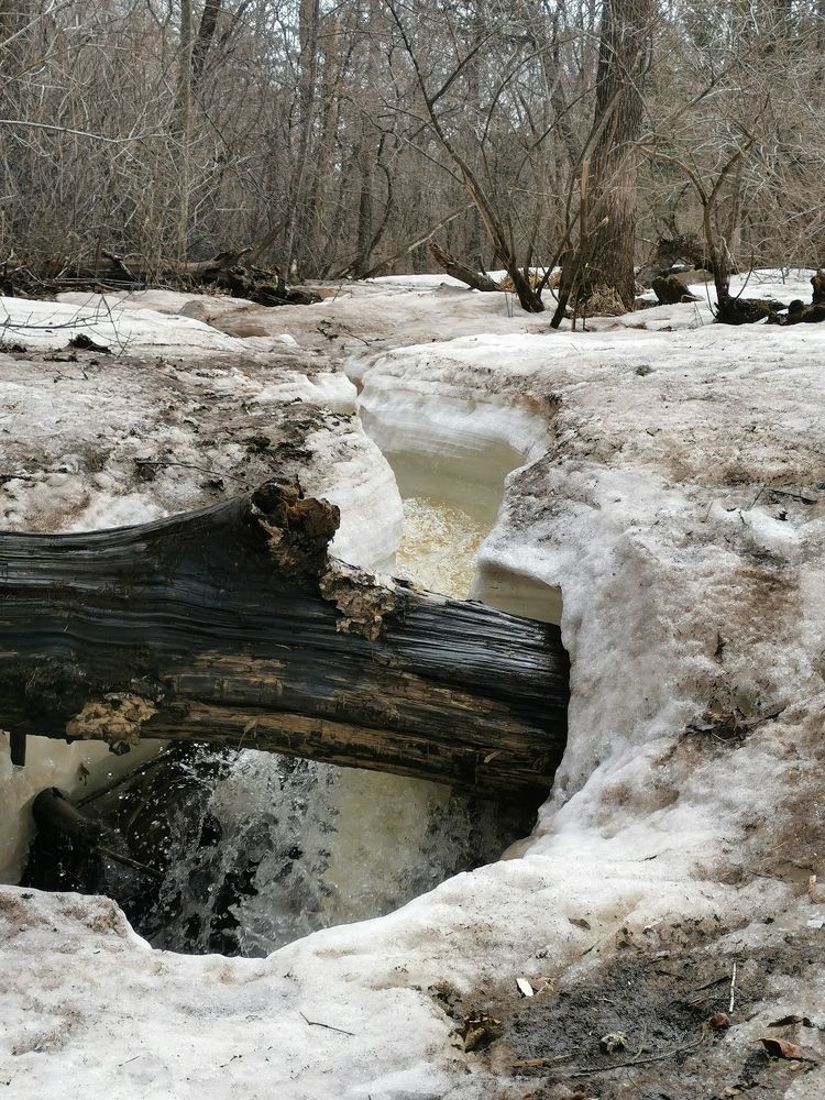 Photograph by Мария Маханько