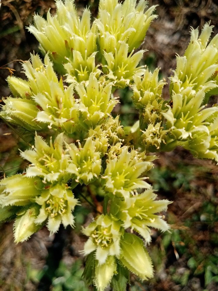 Photograph by Михаил Царикевич