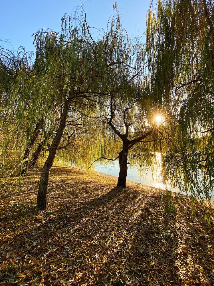 Photograph by Александра Силохина