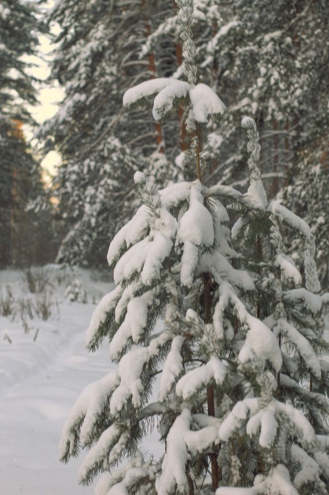 Photograph by Егор Пакулин