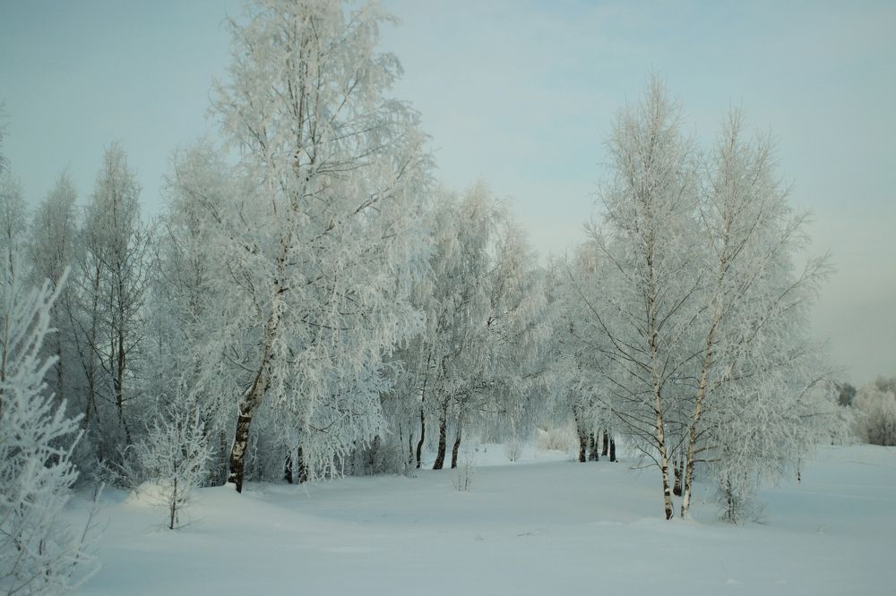 Photograph by Светлана Богомолова