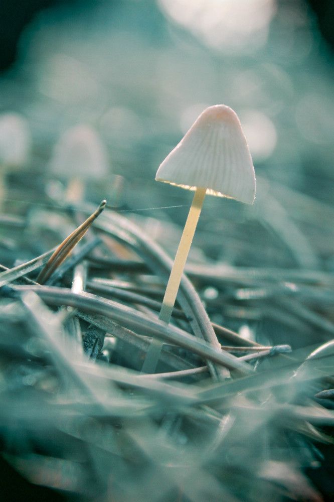 Photograph by Yuliia Т