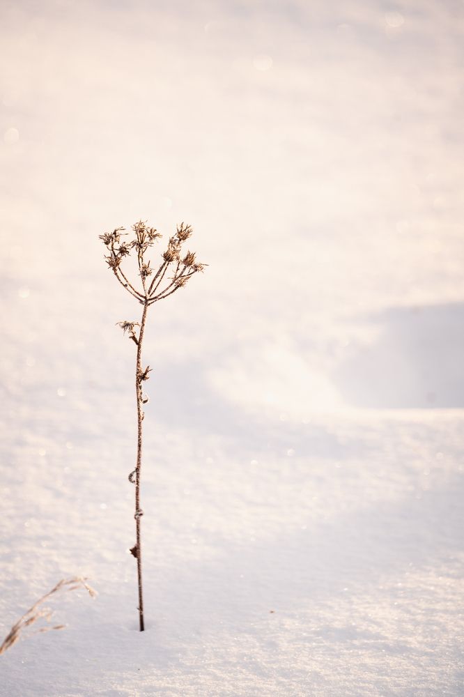 Photograph by Ольга Рачилова