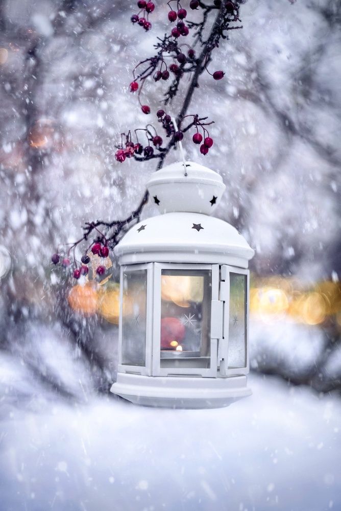 Февральская метель