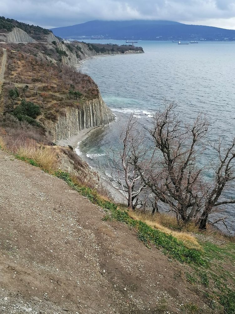 Фотография автора Юлия Лубкина