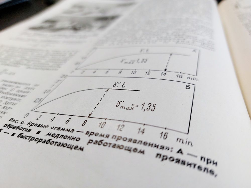 Фотография автора Елена Колосова