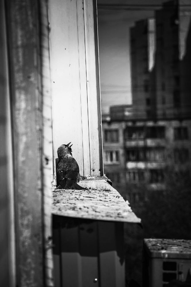 Photograph by Елена