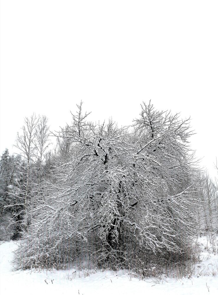 Photograph by Krystyna