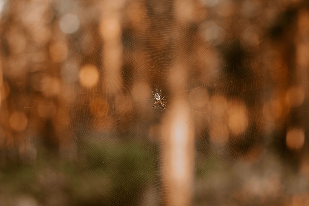 Photograph by Павел