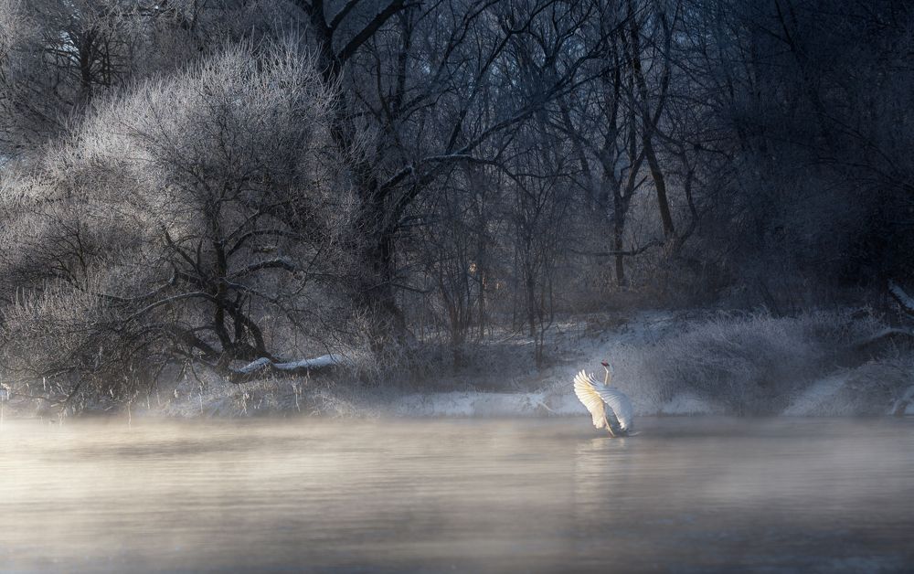 Photograph by Роман Филиповец