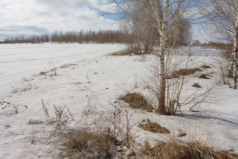 Photograph by Курочкина Диана