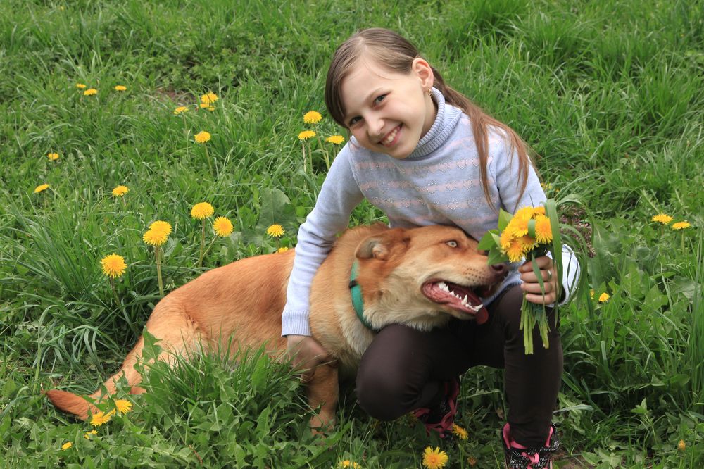 Photograph by Моложников Юрий