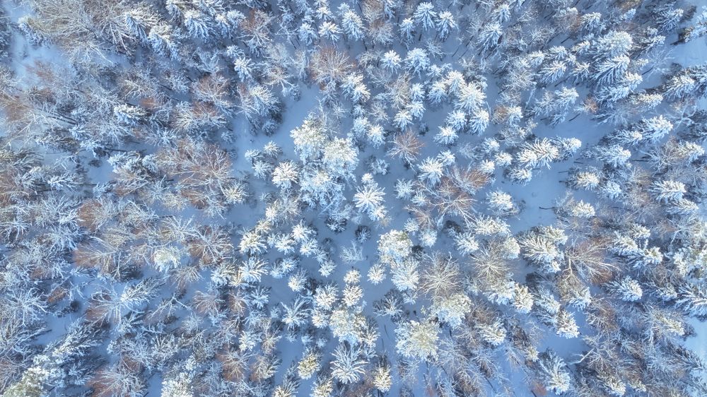 Photograph by Olga Baklunova