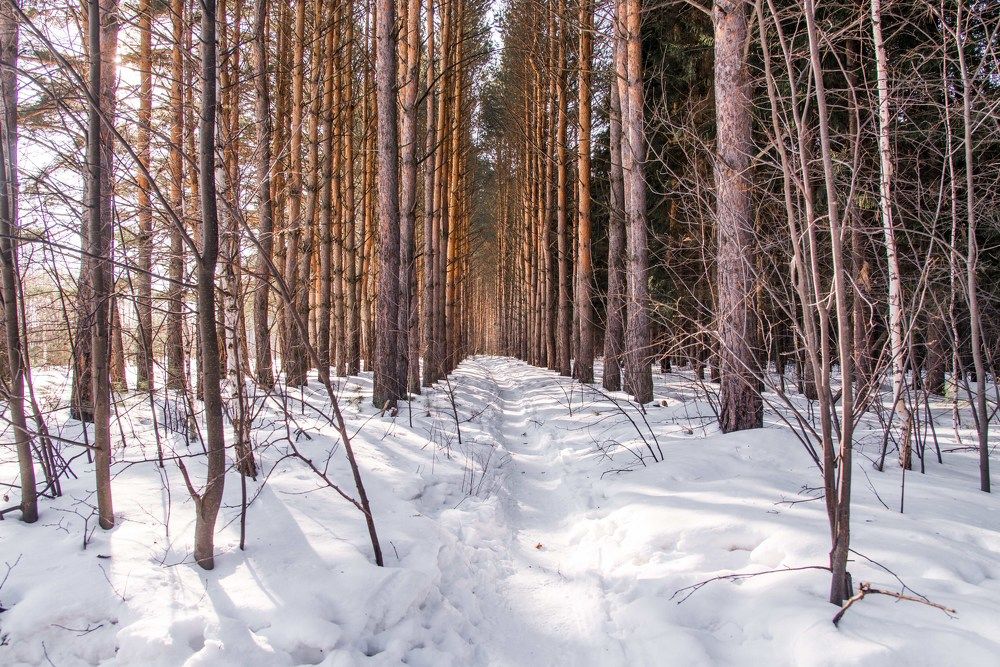 Photograph by Анатолий Мосяков