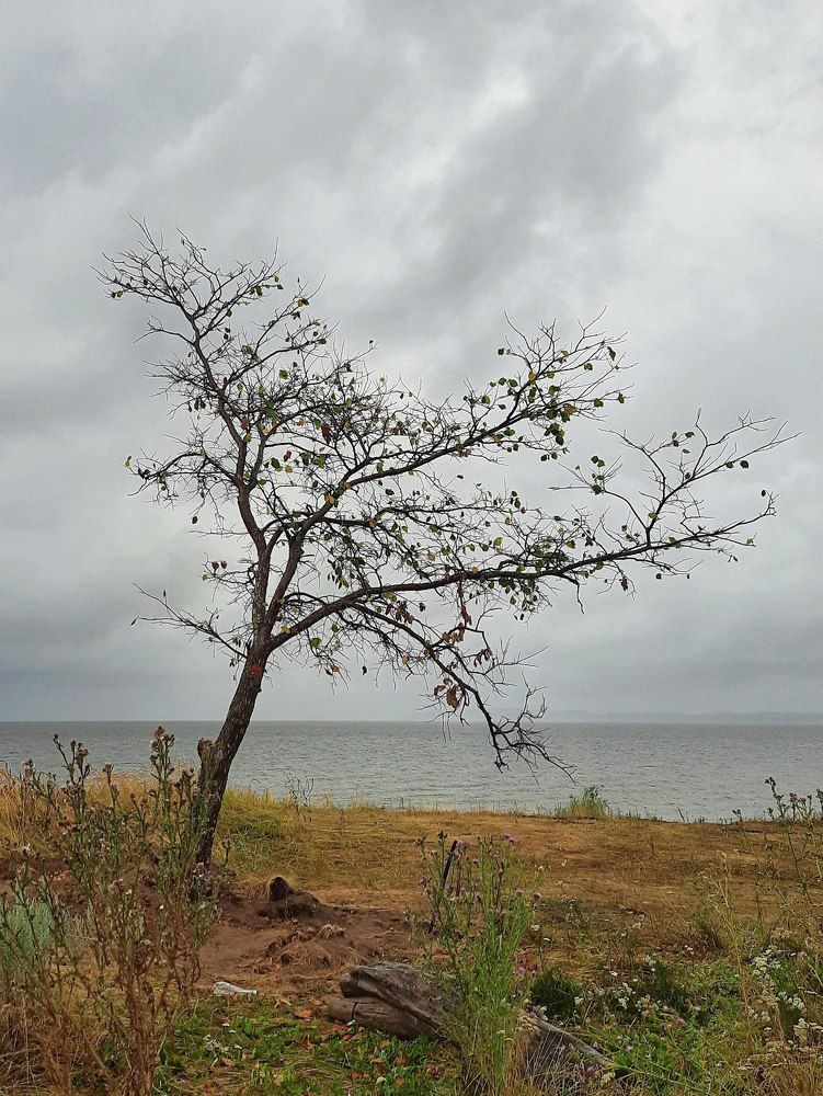 Photograph by Дина Холодова