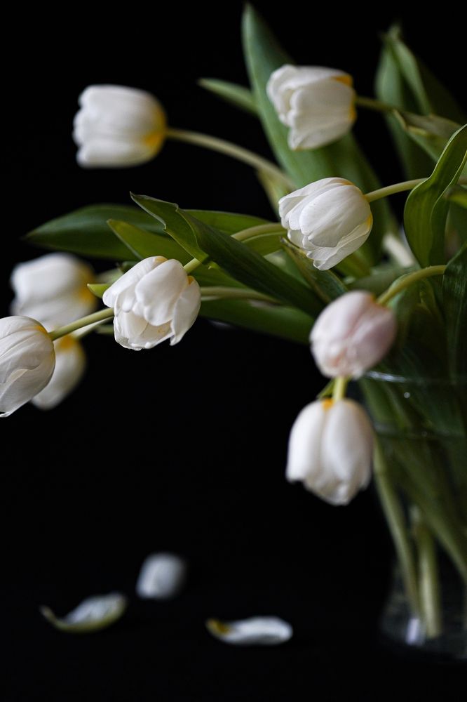 Photograph by Дарья Гурьева