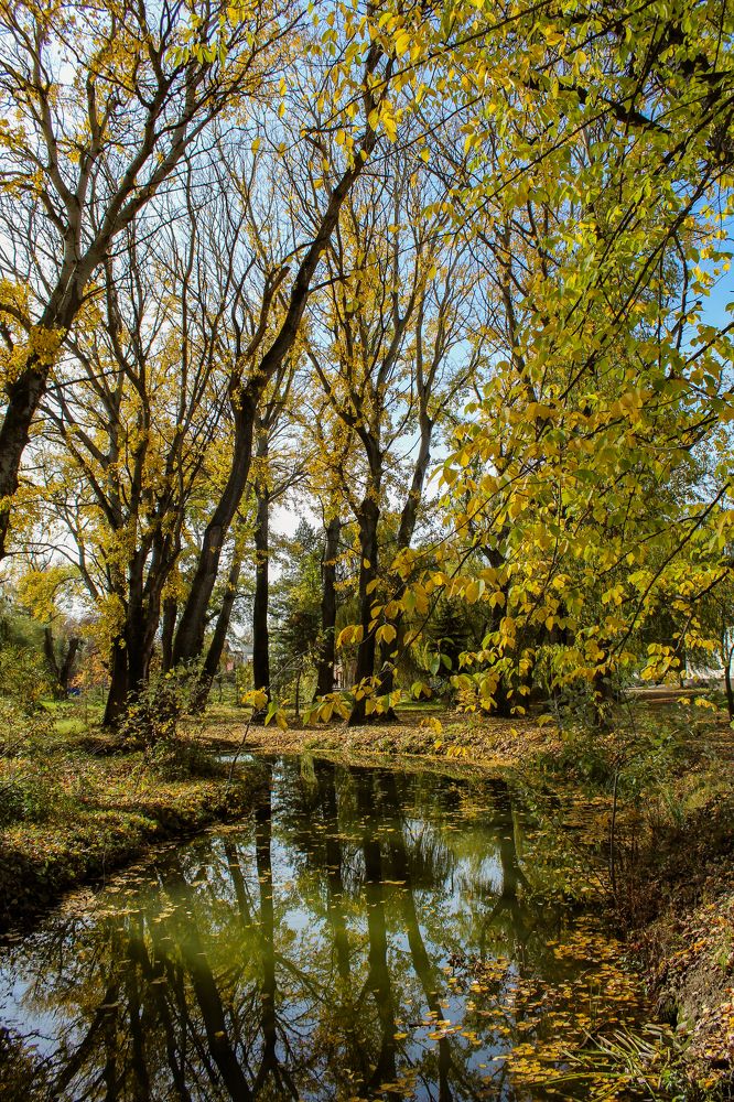 Золотая осень