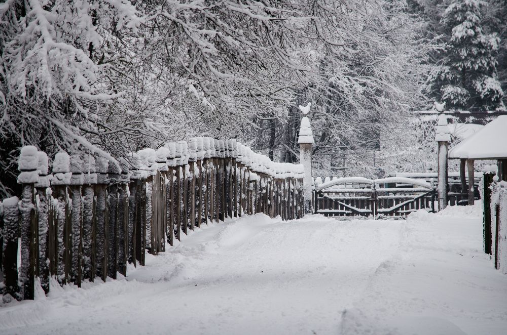 Photograph by Kristina Nutautiene