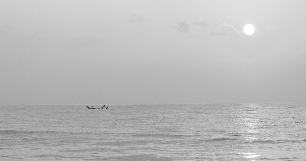 Photograph by Surendran Kalaivani