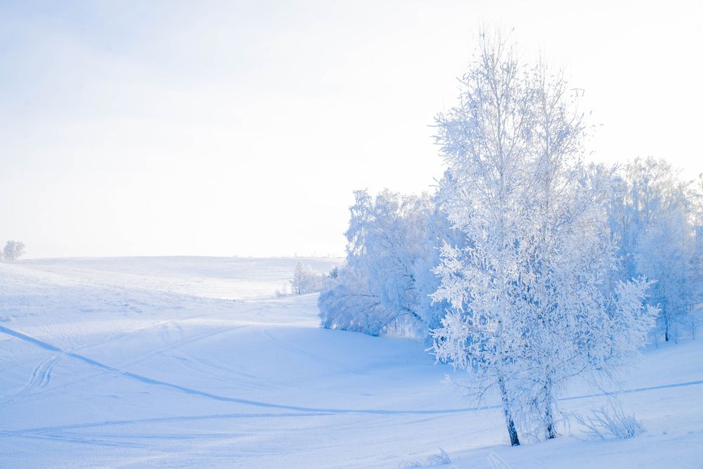 Photograph by Наталья Лещинская