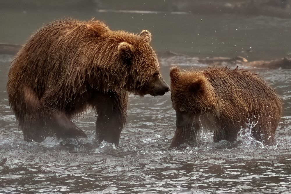 Photograph by Юрий Гордонов