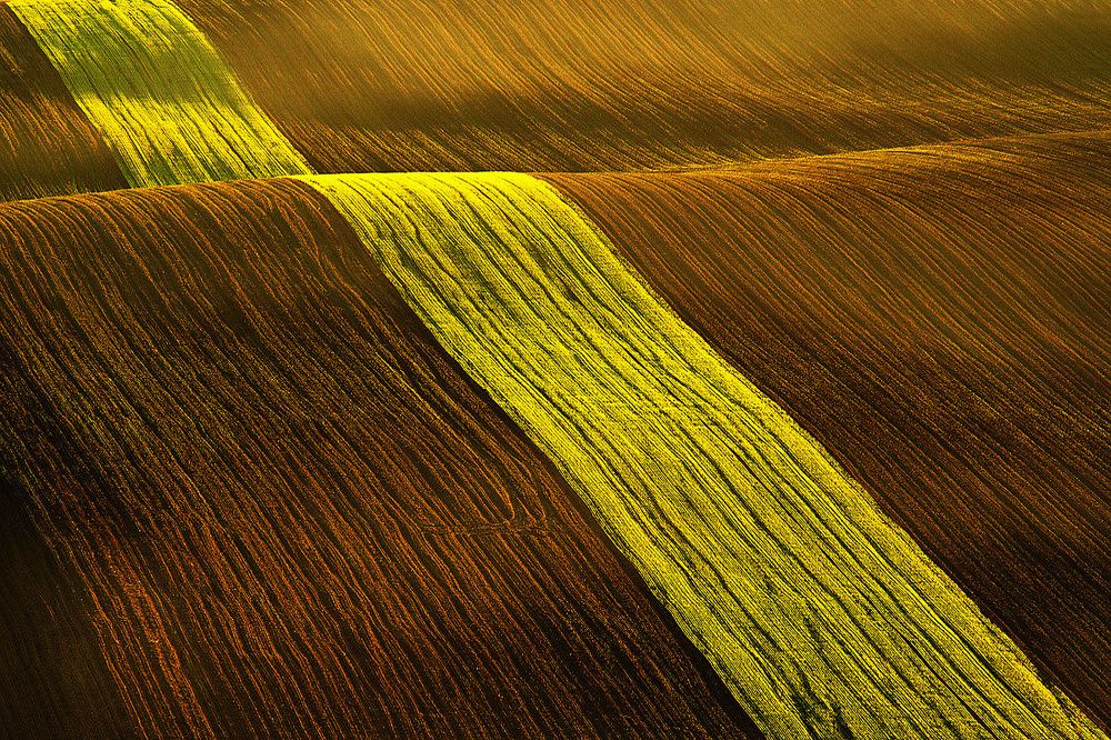 Photograph by Matejček Peter