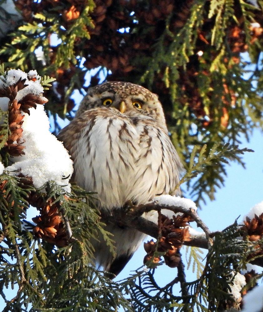 Photograph by Татьяна ТУРСКАЯ