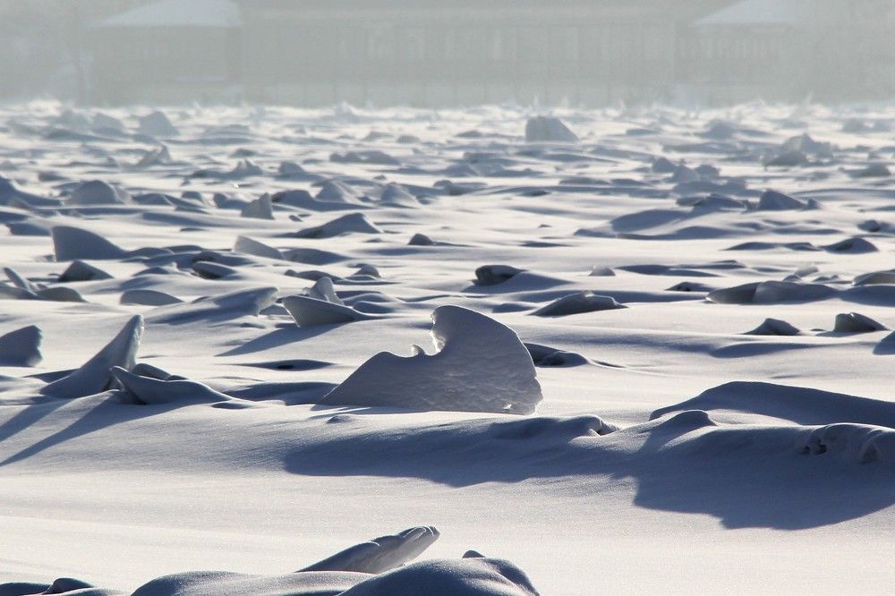 Photograph by Nikita