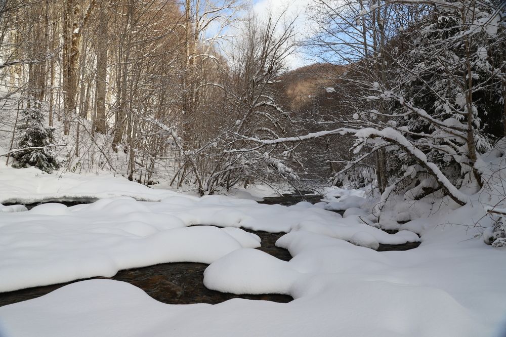 Photograph by Popa Alin