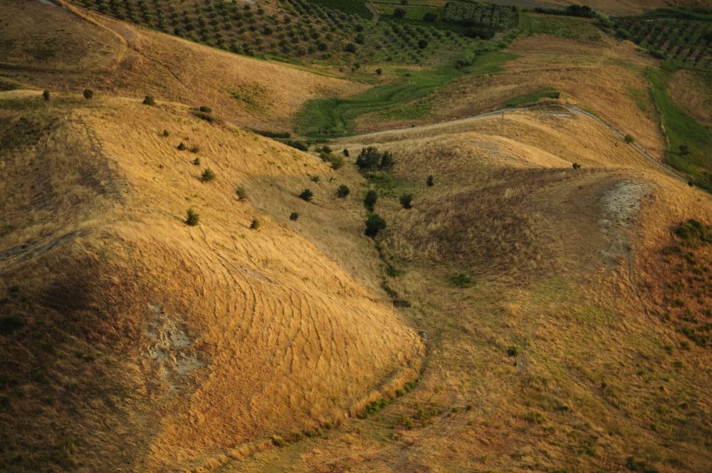 Photograph by Irina Grek