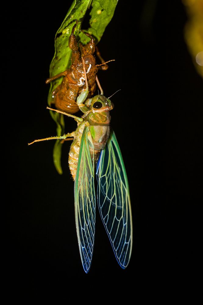 Photograph by Abhishek Nandkishor Neelam Satam