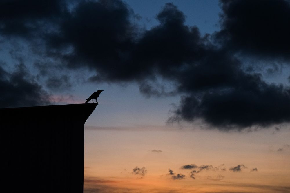 Photograph by Surendran Kalaivani