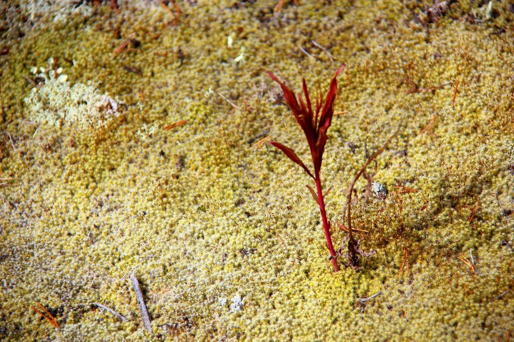 Одиночество