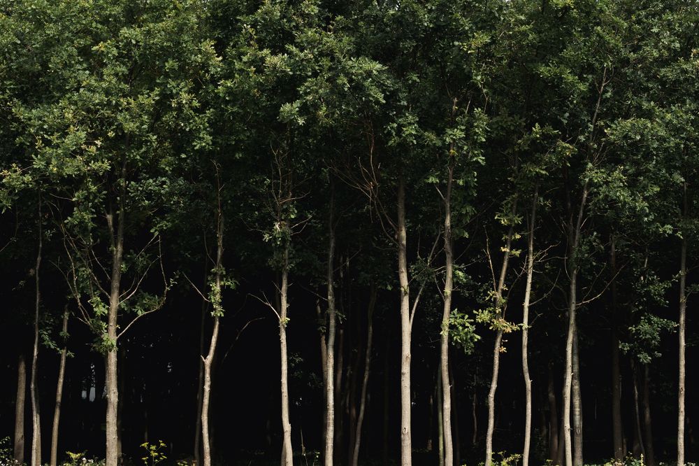 Фотография автора Марухин Владислав