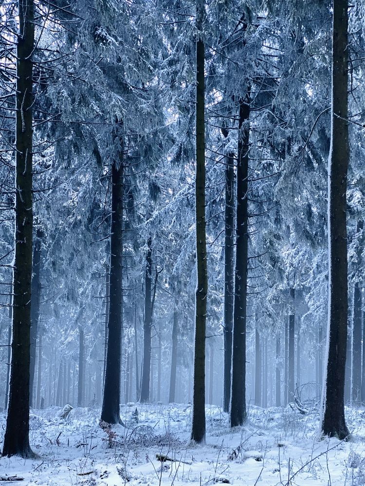 Photograph by Наталья Посашко