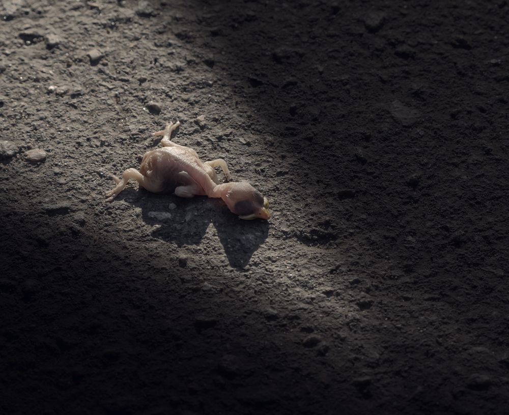 Photograph by Ольга Сербина